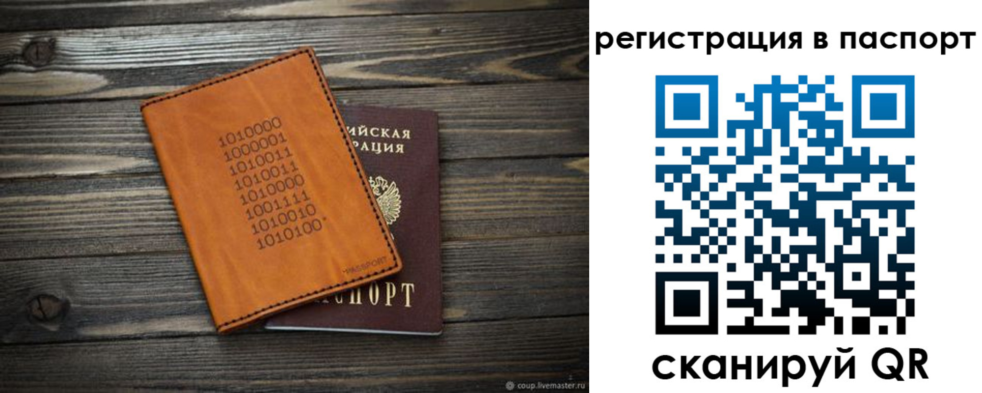 прописка для школы в Куртамыше